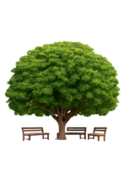 DimKod Charity Foundation